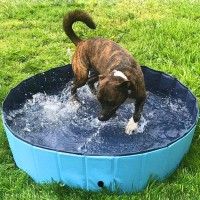 120x30cm Foldable Pet Swimming Portable Kids Pets Dogs Cats Outdoor Bathing Tub Bathtub Water Pond Pool