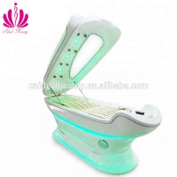 Wet Steam Ozone Sauna Vichy Shower SPA Capsule (SPA004)